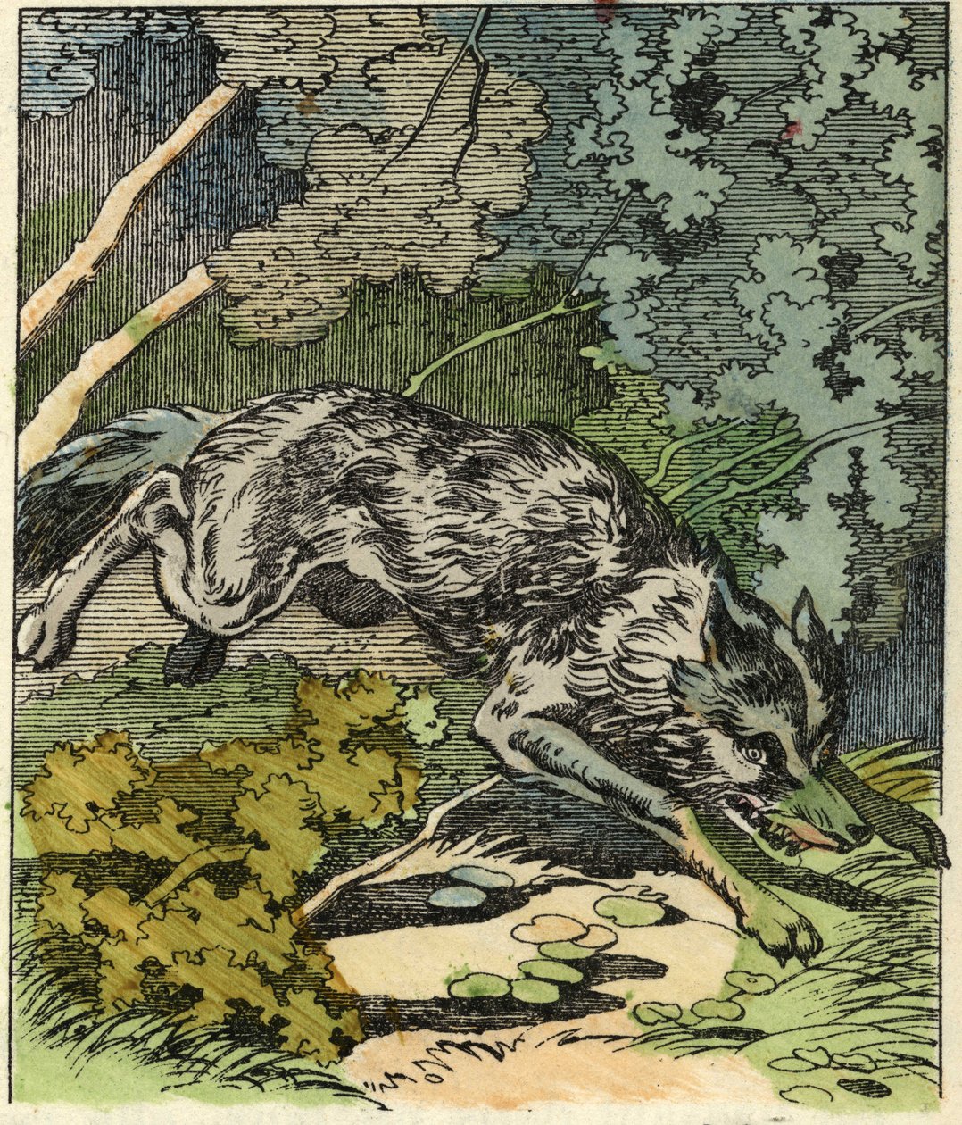 Wilk biegnie do domu babci. Ilustracja do bajki „Czerwony Kapturek” Charlesa Perrault autorstwa Unknown artist