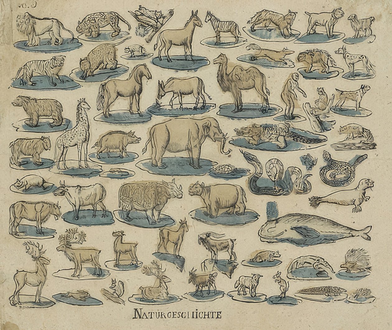 Zwierzęta. 1750-1800 autorstwa Unknown