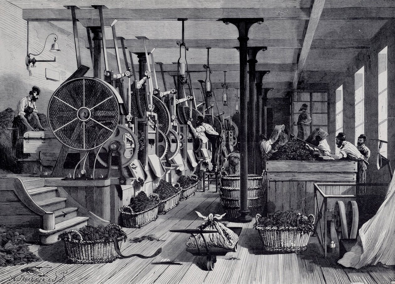 Fabryka tytoniu, pralnia i szaleństwo tytoniu. Grawer około 1867. Paryż, Musee Carnavalet autorstwa Unknown artist