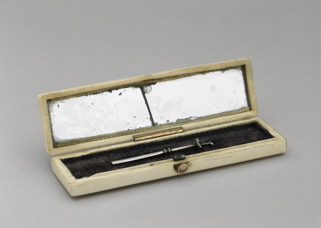 Etui na wykałaczki, ok. 1840-1880 (kość słoniowa, srebro, szkło lustrzane, aksamit) autorstwa Unknown artist