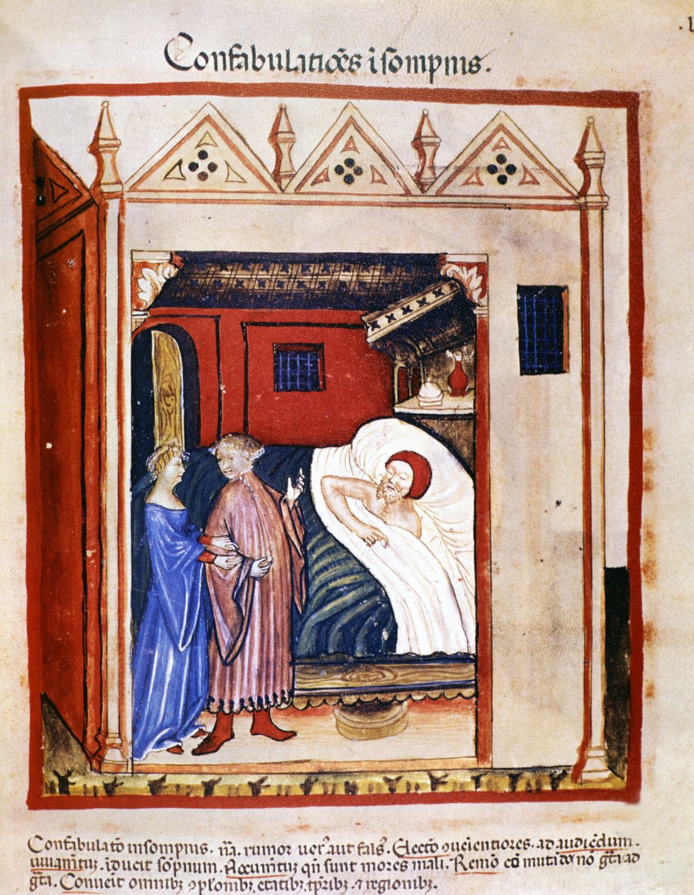Traktat o medycynie „”Tacuinum sanitatis”” XIV wiek: ludzie rozmawiający podczas snu. 14 wiek. BN, Wiedeń. autorstwa Unknown artist
