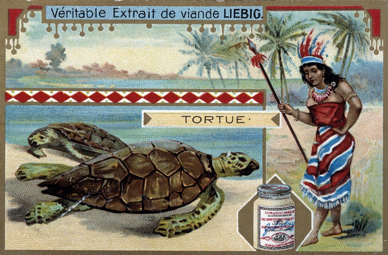 Żółw, z kobietą ubraną jak tubylec z Ameryki Południowej, wyposażony w włócznię myśliwską - chromolitografia Liebiga autorstwa Unknown artist
