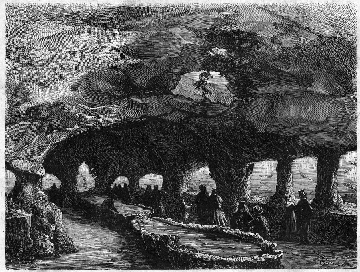 Wystawa uniwersalna: wnętrze dużego akwarium morskiego. Grawerowanie w „Wspaniałym Wszechświecie” autorstwa Unknown artist