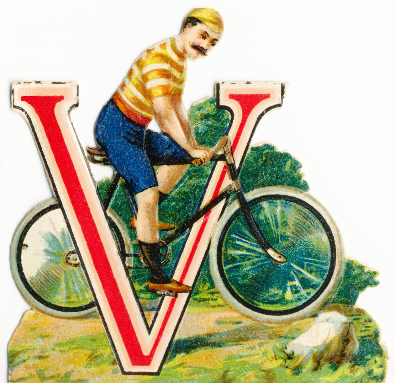 V: Welocyped autorstwa Unknown artist
