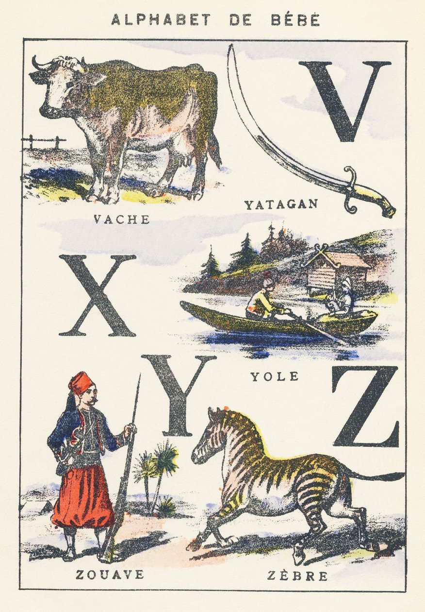 V X Y Z: krowa, żółtko, żouaw, zebra autorstwa Unknown artist