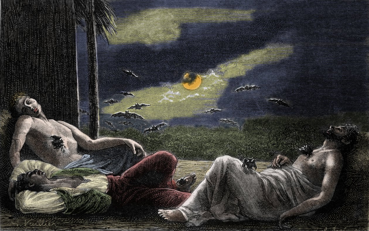 Nietoperz wampir wysysający krew mężczyzn śpiących w noce pełni księżyca. Rycina XIX wieku autorstwa Unknown artist