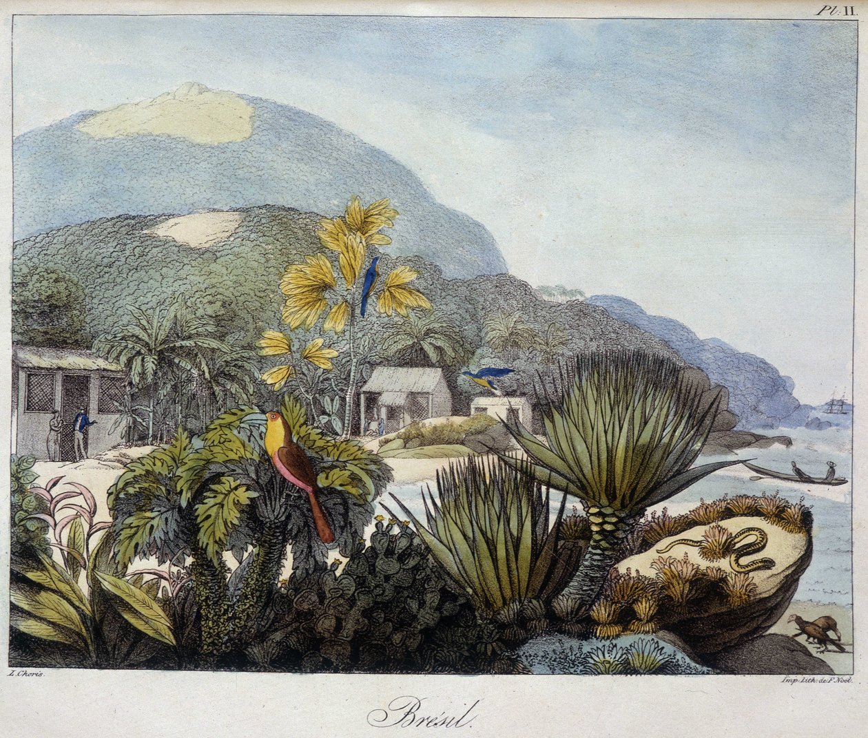 Widok Brazylii w „”Widoki i krajobrazy regionów równonocy, zebrane w podróży dookoła świata””, sd. 19 wiek autorstwa Unknown artist