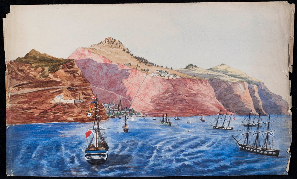 Widok Jamestown, Św. Helena, ok. 1850 (wc na papierze) autorstwa Unknown