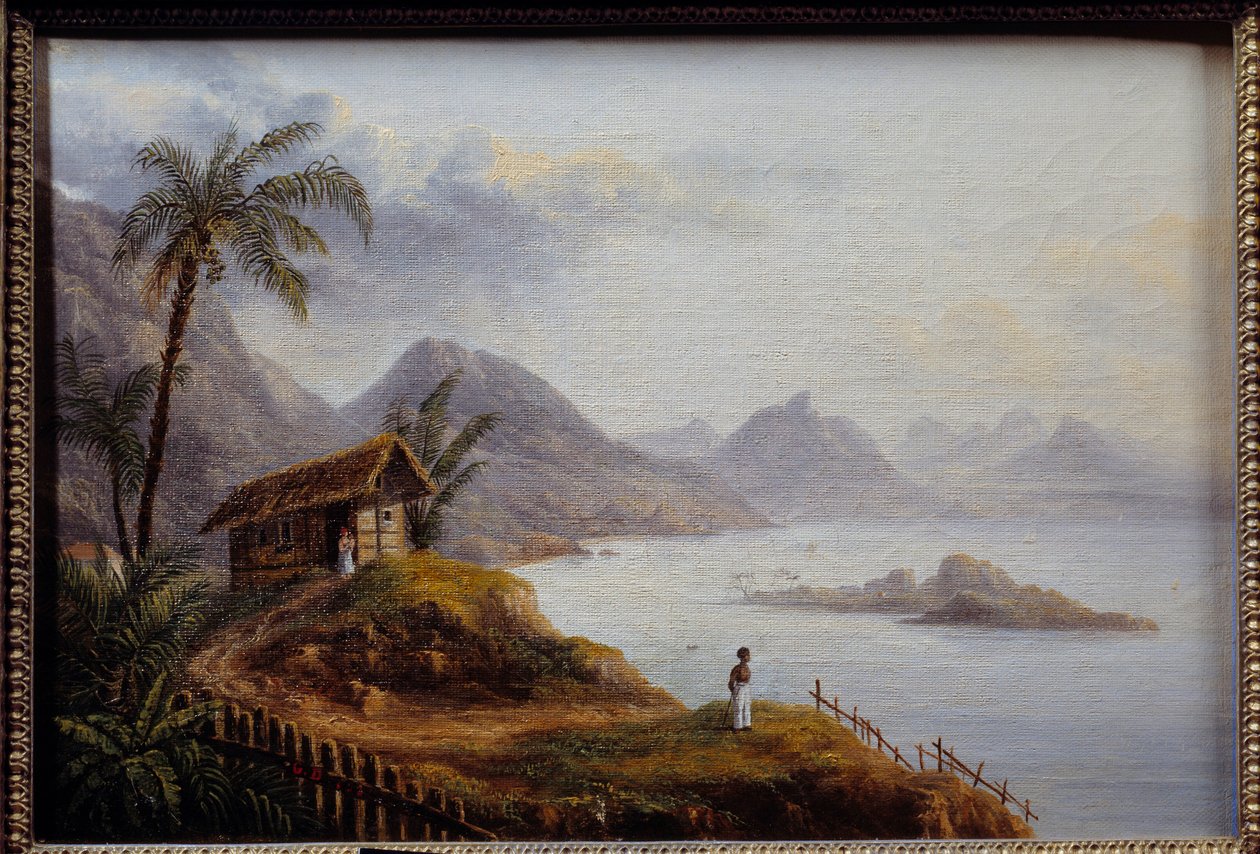 Widok na Martynikę. Anonimowe malowanie autorstwa Unknown artist