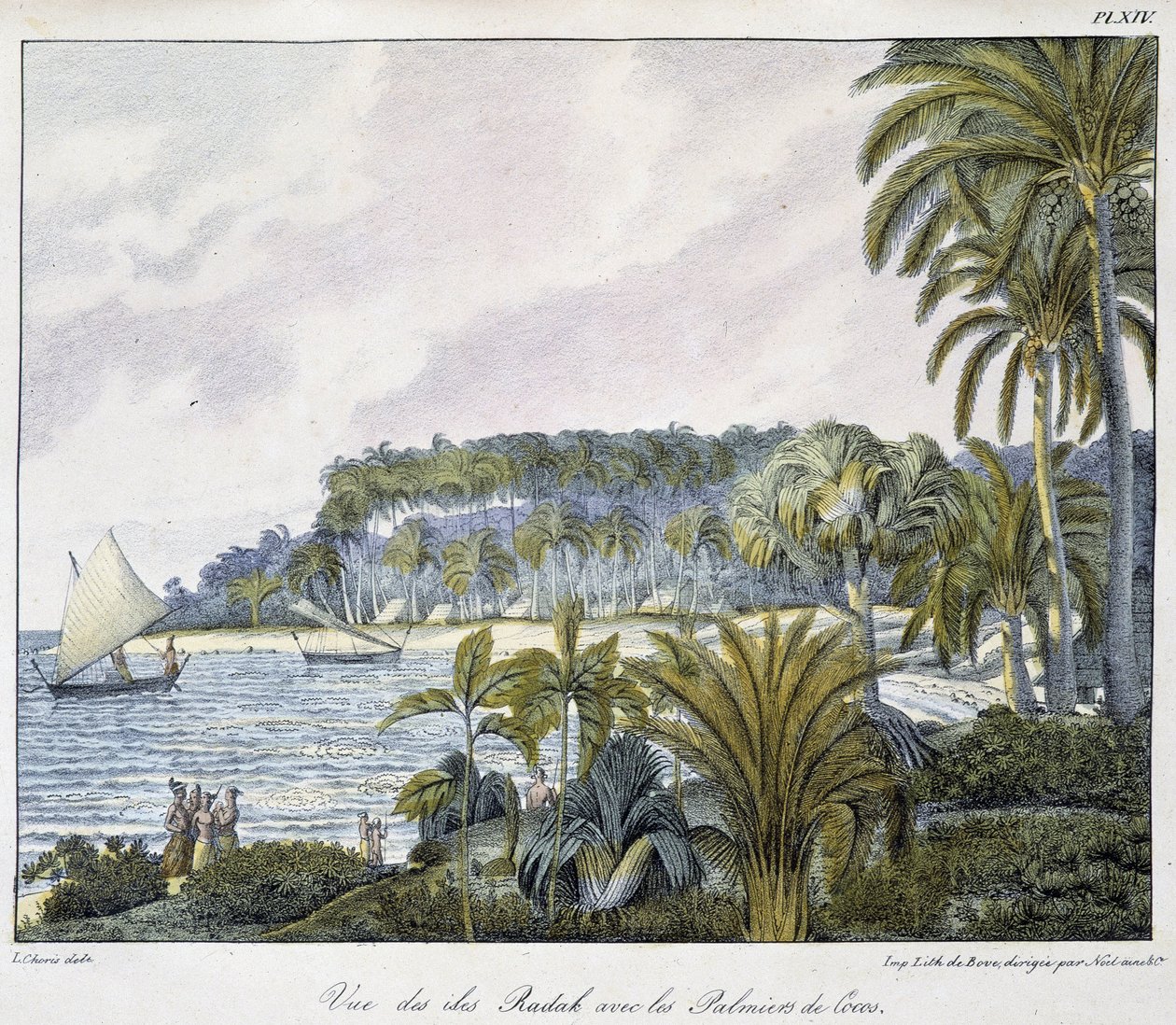 Widok na Wyspy Radak archipelagu Wysp Marshalla. autorstwa Unknown artist