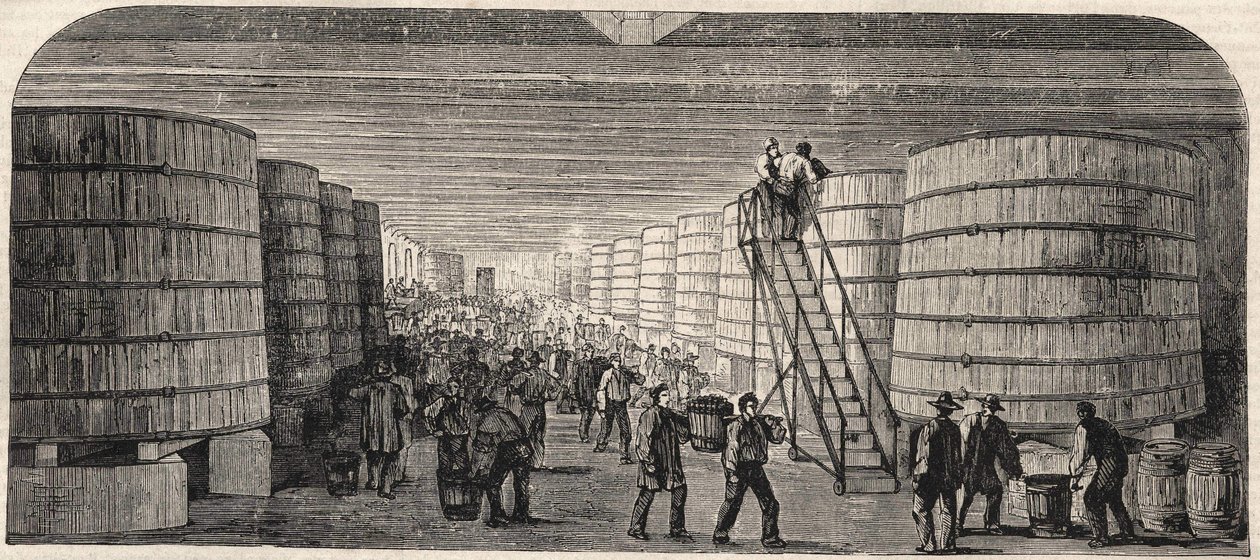 Widok piwnicy zamku - Lafitte w 1860 r. autorstwa Unknown artist
