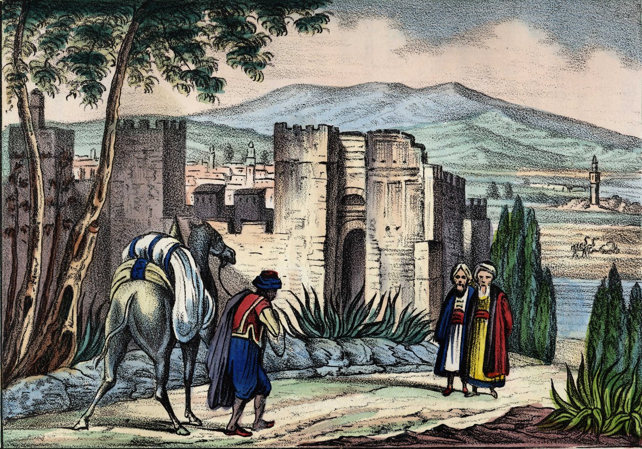 Widok miasta Tlemsen (lub Tilimsen) w Algierii. W „”Storia d