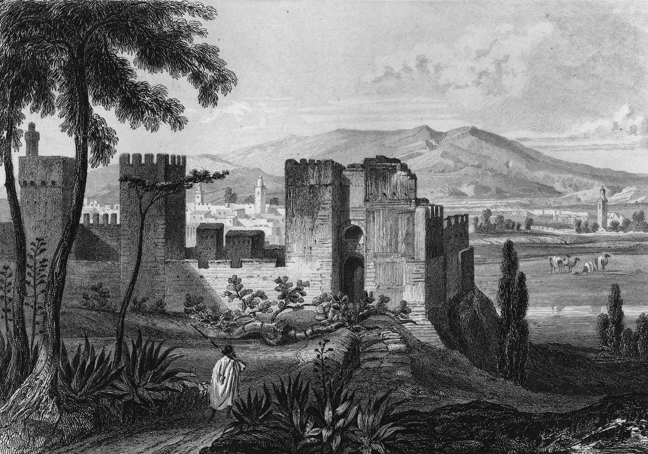 Widok klauzury Tlemsen (lub Tilimsen) w Algierii w XIX wieku w „Algerie ancienne et moderne” Leona Galiberta autorstwa Unknown artist