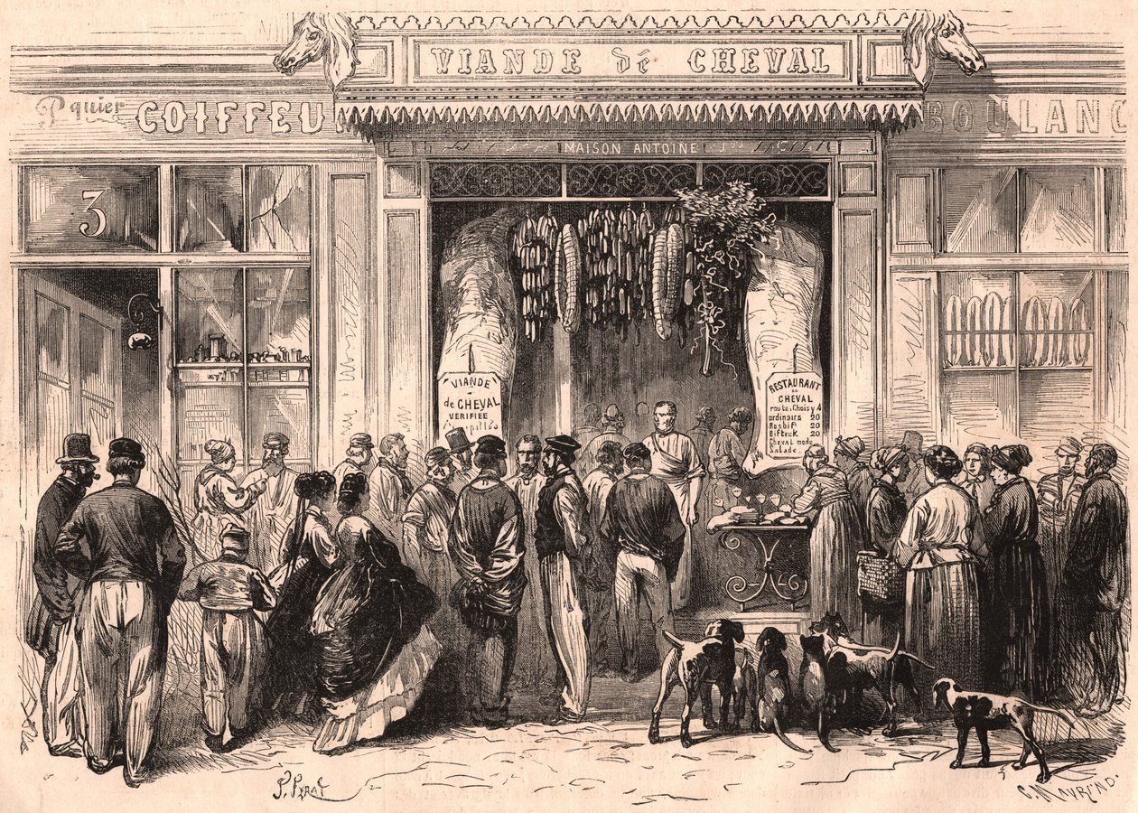 Widok z przodu rzeźnika koniny w Paryżu, Francja autorstwa Unknown