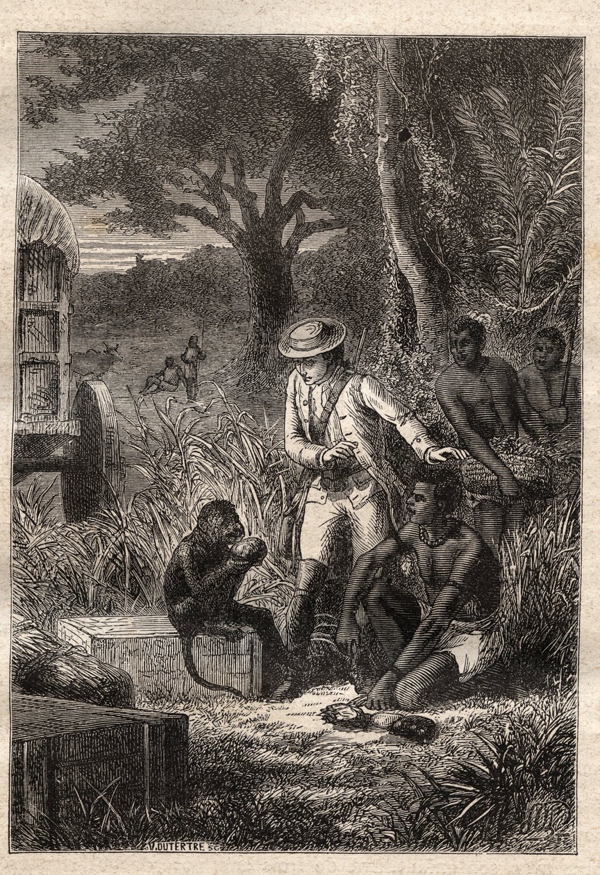 Voyage dans la Caffrerie (Republika Południowej Afryki) (1781) autorstwa Francois Levaillant (Le Vaillant) (1753-1824): Levaillant i jego małpa degustateur Maitre Kees, który degustuje owoce i korzenie, aby sprawdzić, czy są jadalne - ilustracja zaczerpnię autorstwa Unknown artist