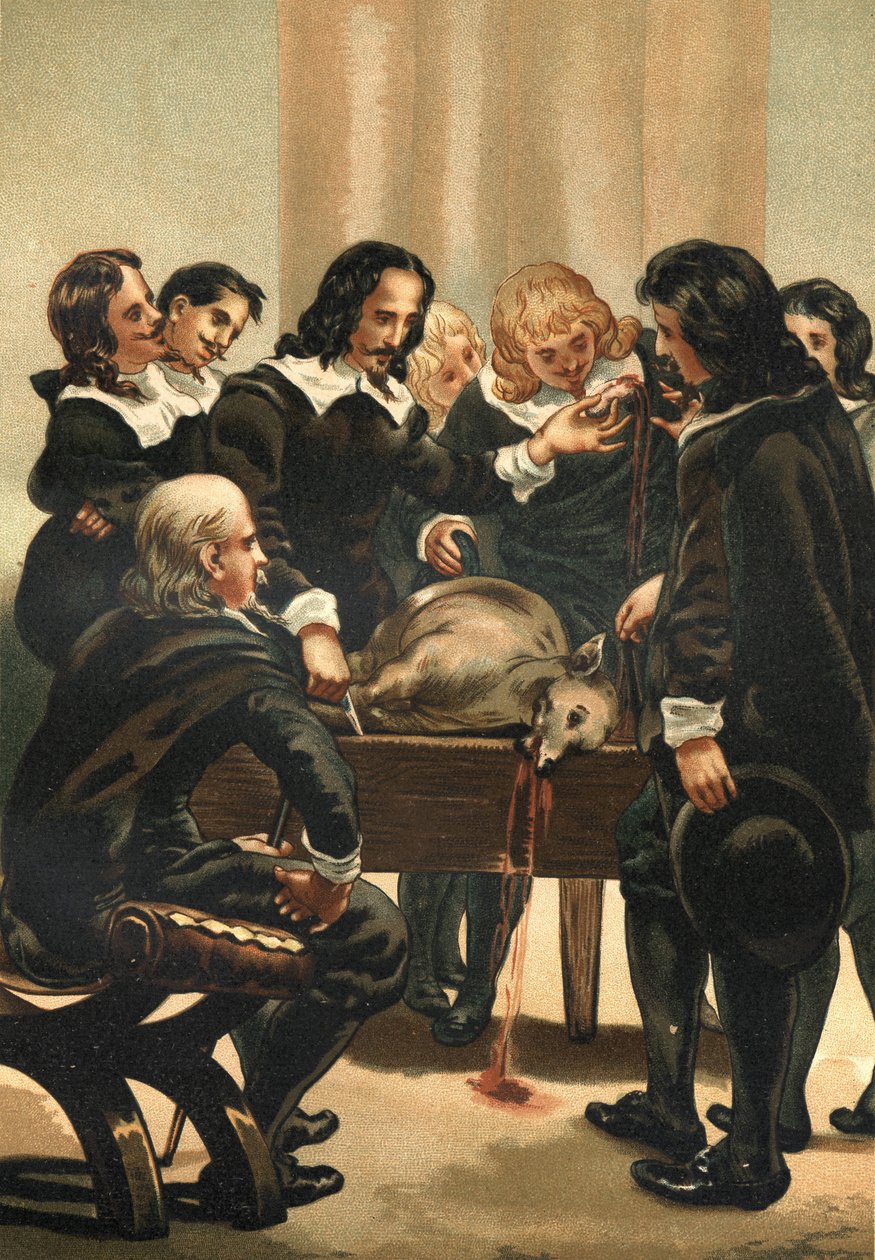 William Harvey (1578-1658) angielski lekarz wykazujący krążenie krwi w 1628 r. autorstwa Unknown artist