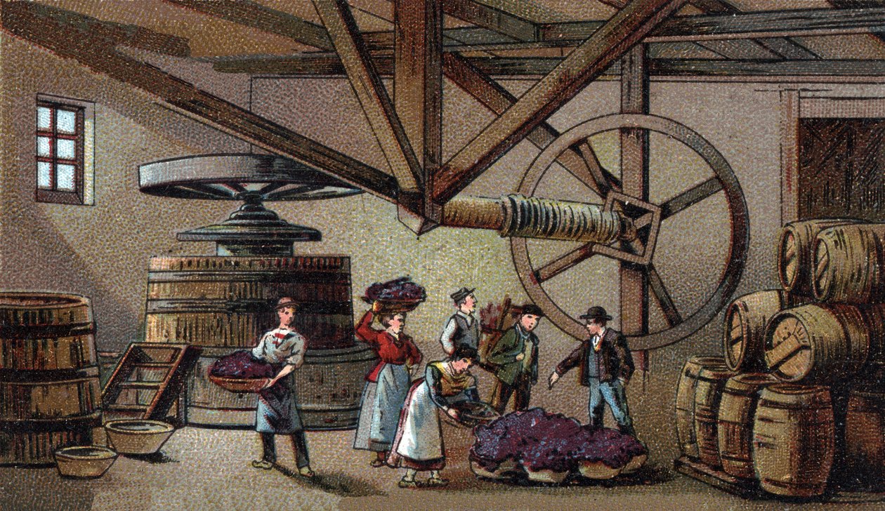 Produkcja wina: tłoczenie wina hospicjum Beaune (clos vougeot). Chromolitografia z końca XIX wieku autorstwa Unknown artist