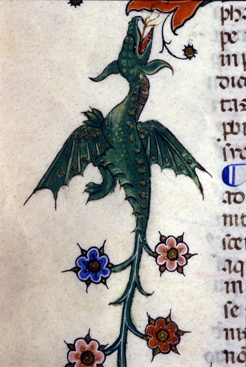 Skrzydlaty smok, Caspic, na XIV-wiecznym rękopisie Mediolan, Biblioteca Nazionale Braidense. autorstwa Unknown artist