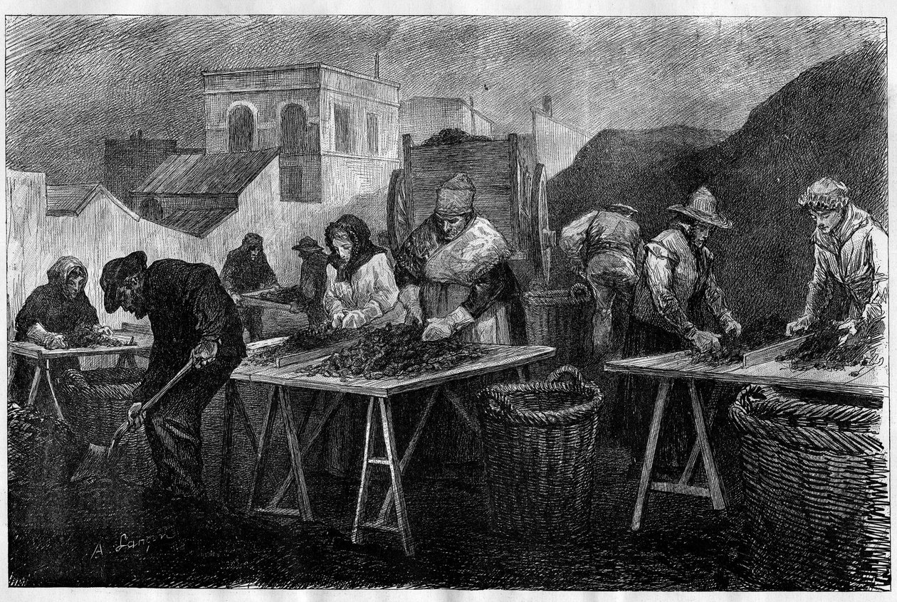 Pracownicy we Francji: sortowniki koksu (odmiana węgla pochodząca z destylacji węgla, używana do ogrzewania) w gazowni w Paryżu Grawerowanie w „Le Monde Illustré” autorstwa Unknown artist