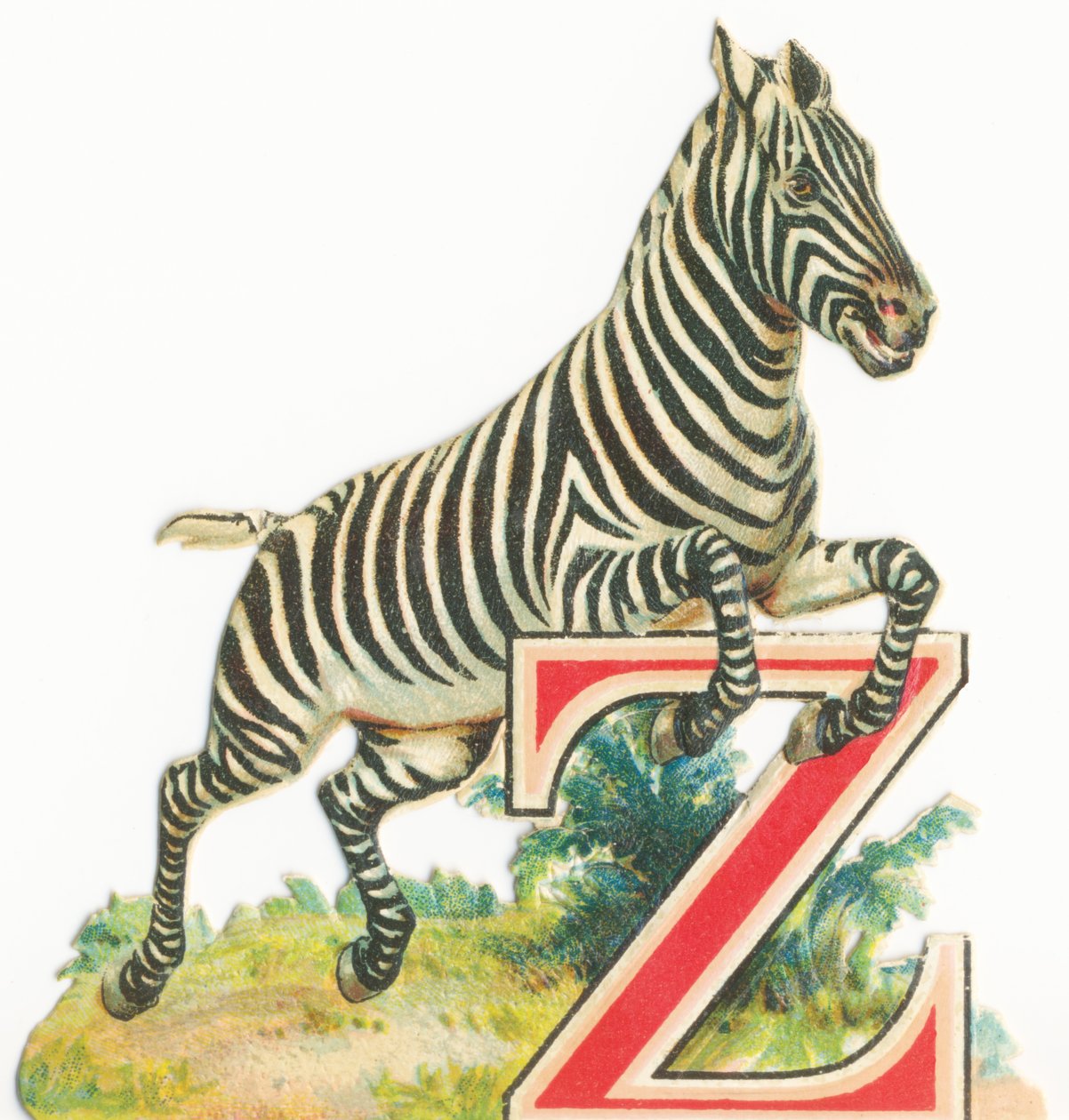 Z: Zebra autorstwa Unknown artist