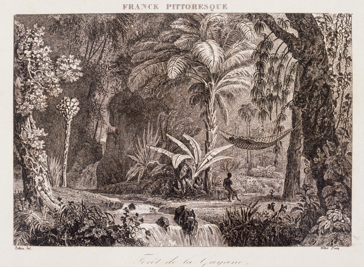 Rycina przedstawiająca francuską kolonię Gujana w Ameryce Południowej 1850 autorstwa Unknown artist