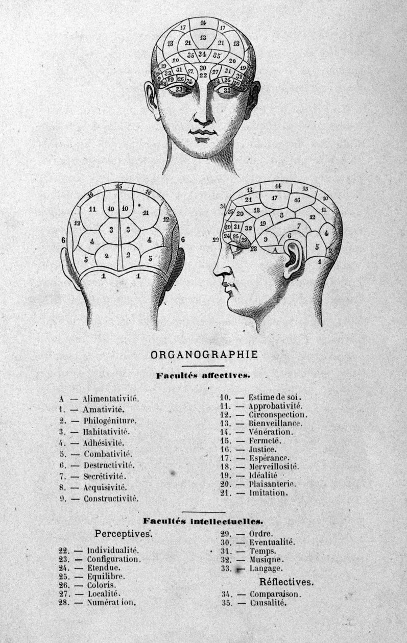 ilustracja z książki Charlesa Rouvina z 1873 r. Organographie La Tête humaine, ilustrowane studia z zakresu frenologii i fizjonomii zastosowane do znanych postaci Paryż 1873 autorstwa Unknown artist