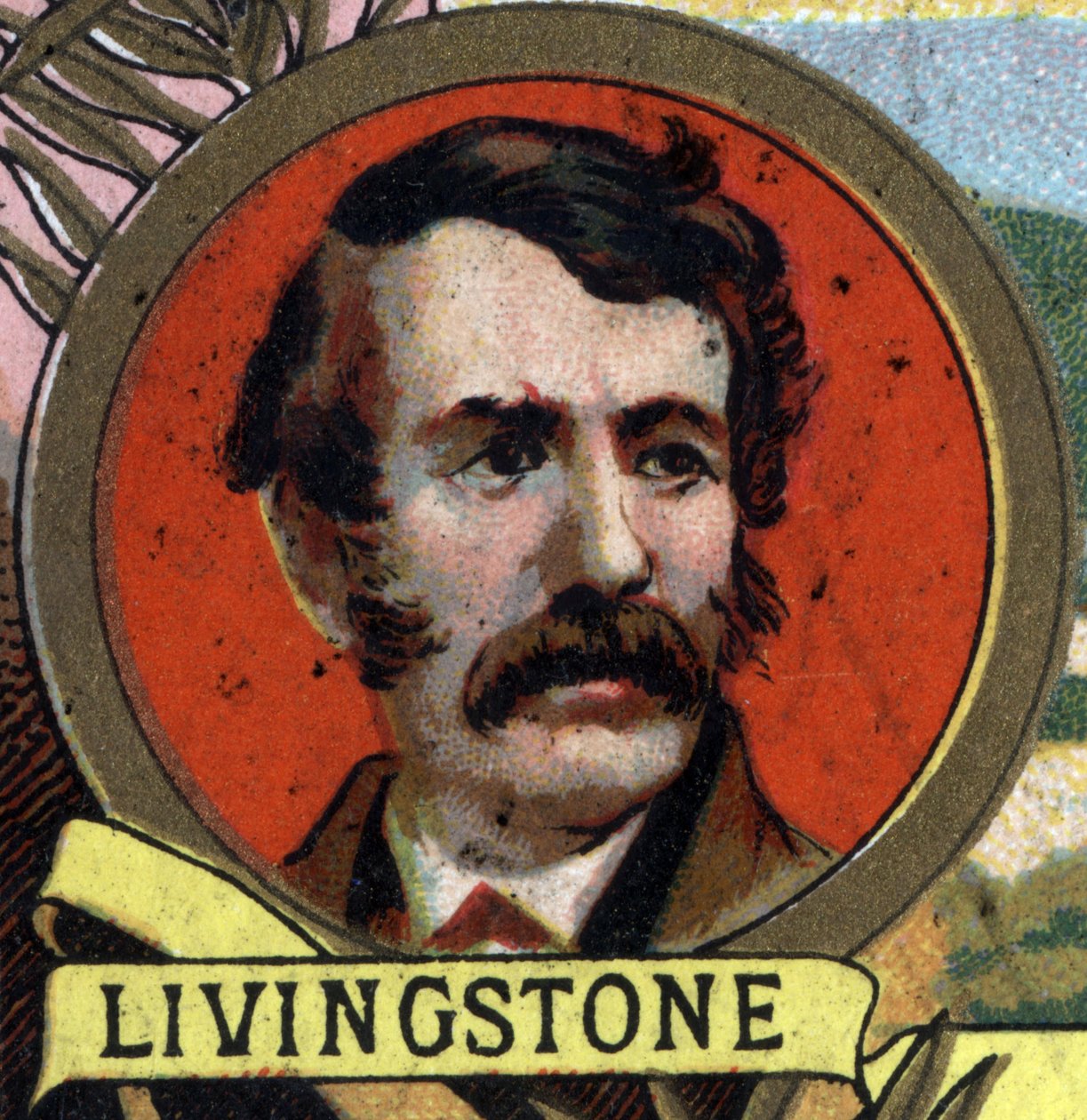 portret Davida Livingstone