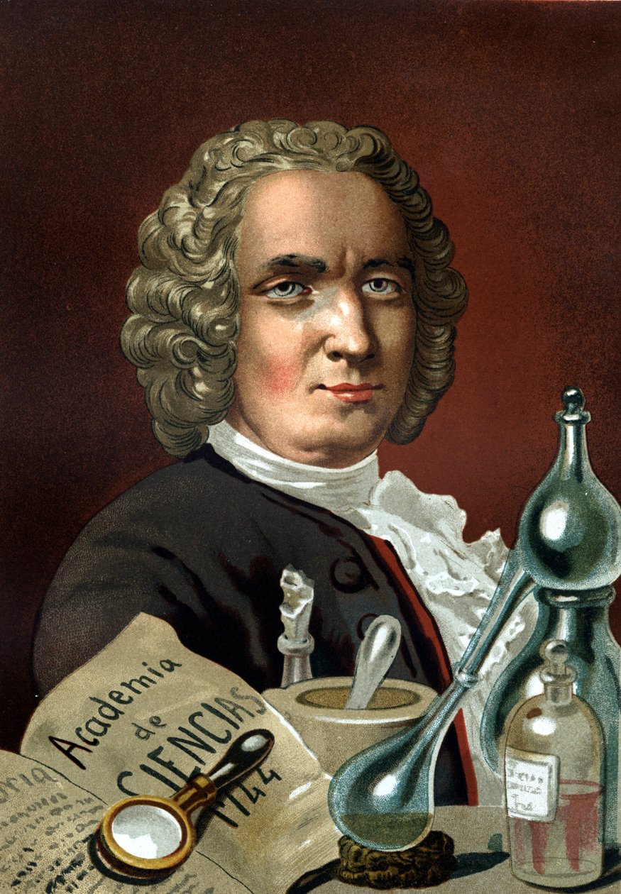 Portret Guillaume Francois Rouelle. Francuski chemik (Mathieu, niedaleko Caen autorstwa Unknown artist