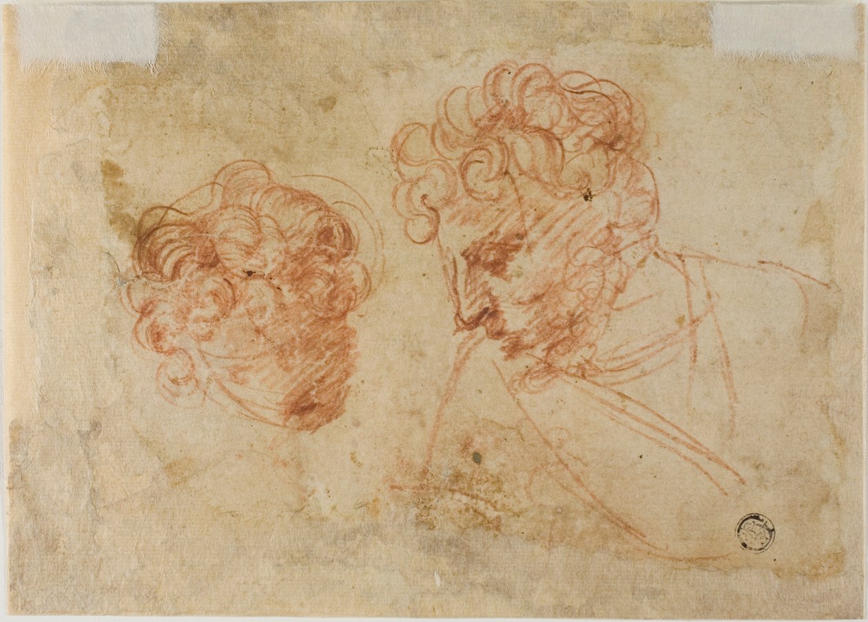 Dwa szkice głów (recto); Dwa szkice udrapowanej kobiety (verso) autorstwa Unknown Florentine