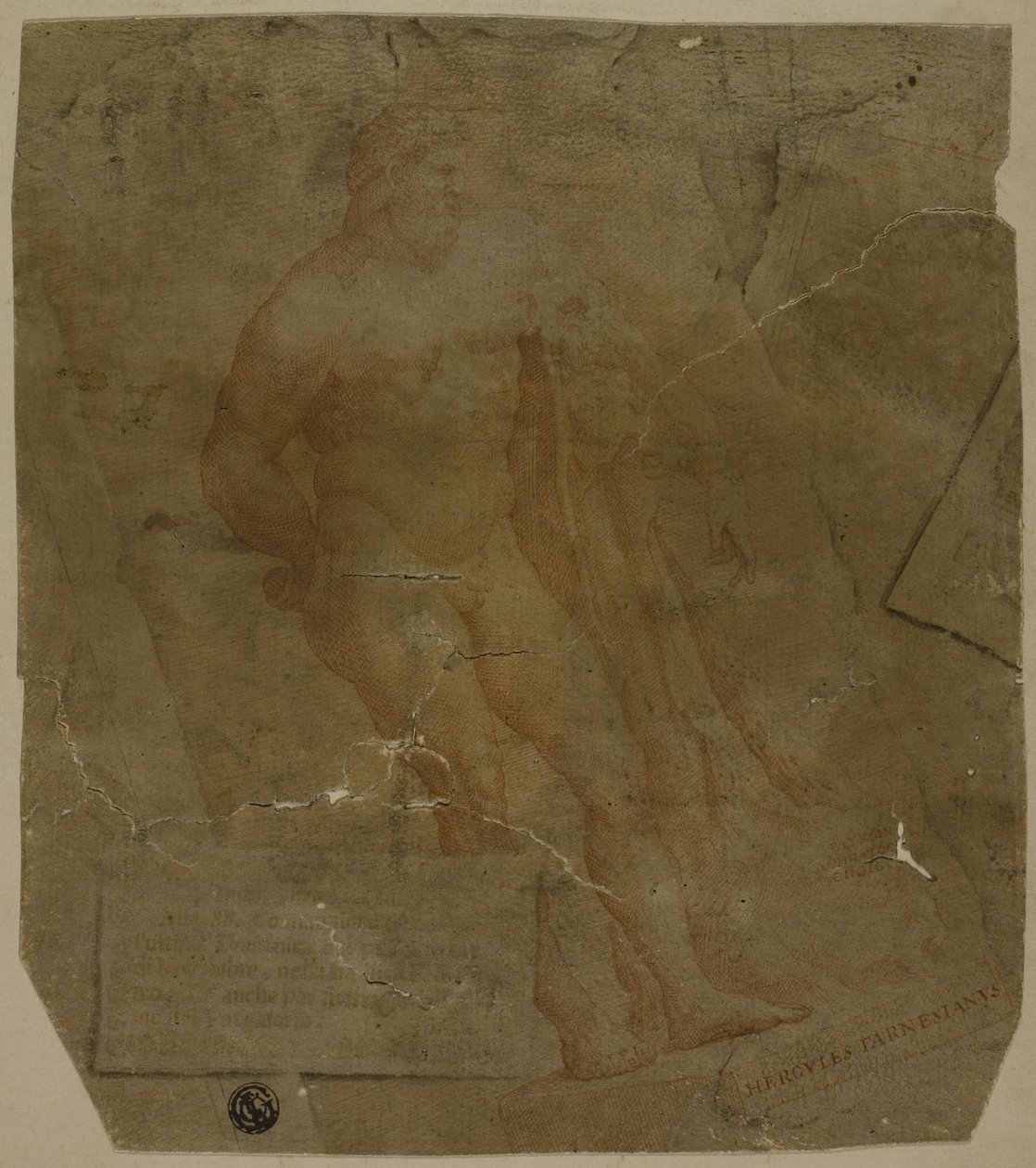 Herkules autorstwa Unknown Italian