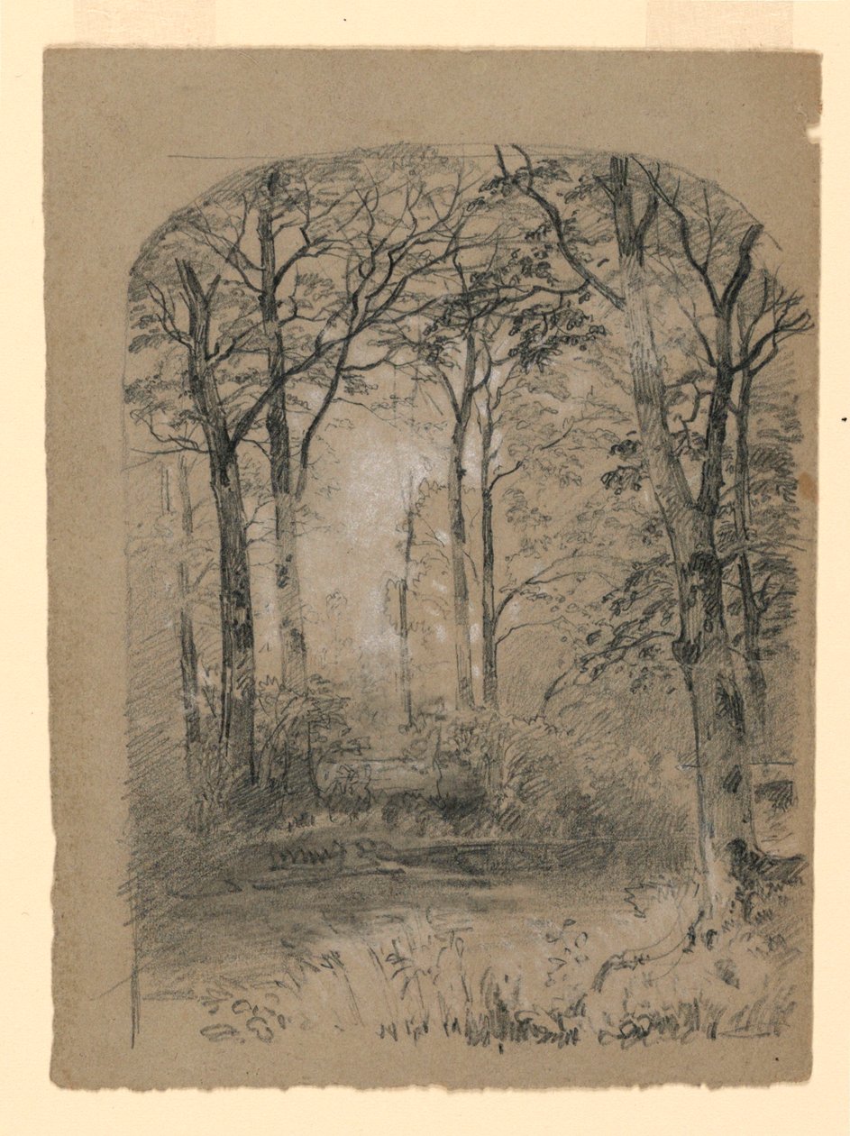Rysunek, Studium lasu, 1865-70 autorstwa Unknown artistUnknown artist