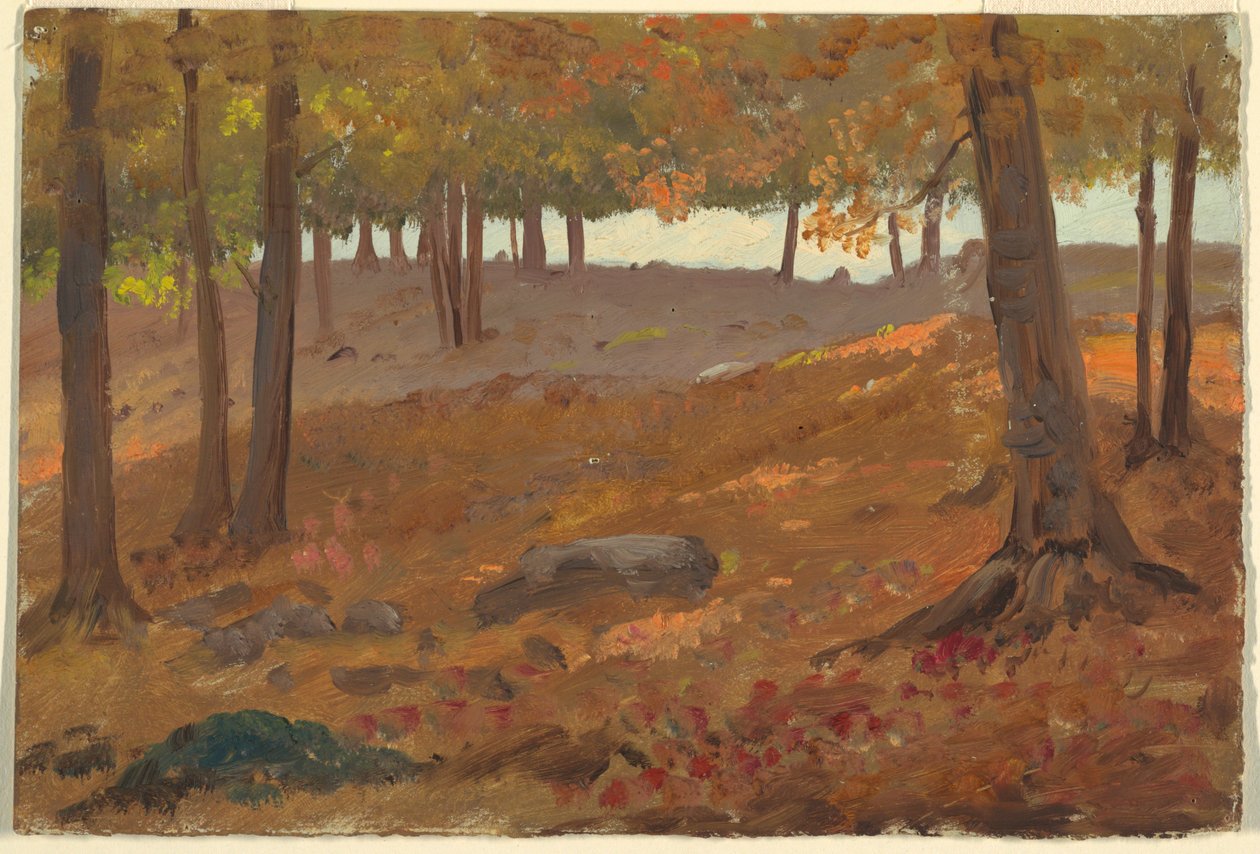 Rysunek, Las jesienią, 1870-80 autorstwa Unknown artistUnknown artist