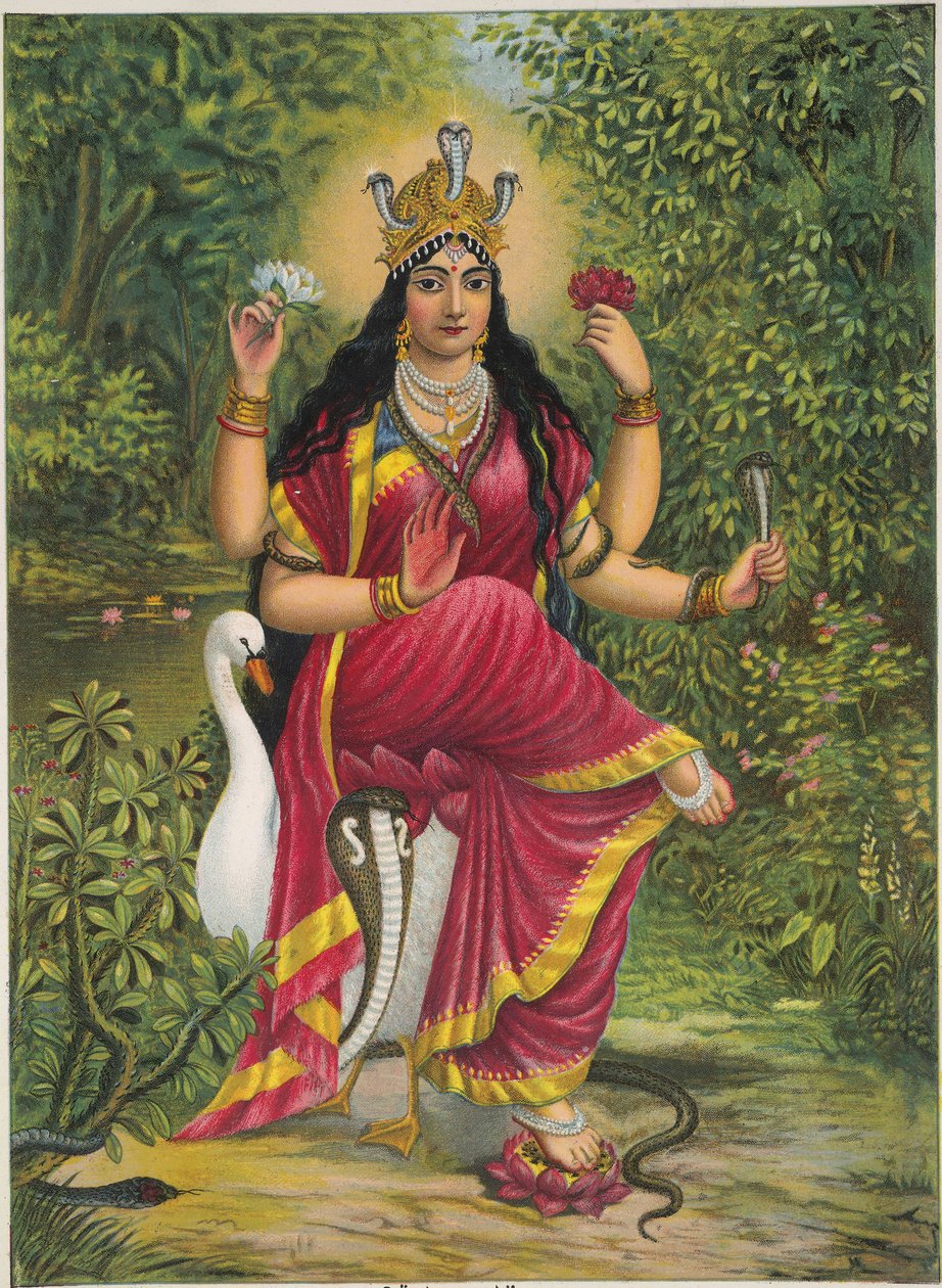 Manasa Devi autorstwa Unknown artistUnknown artist