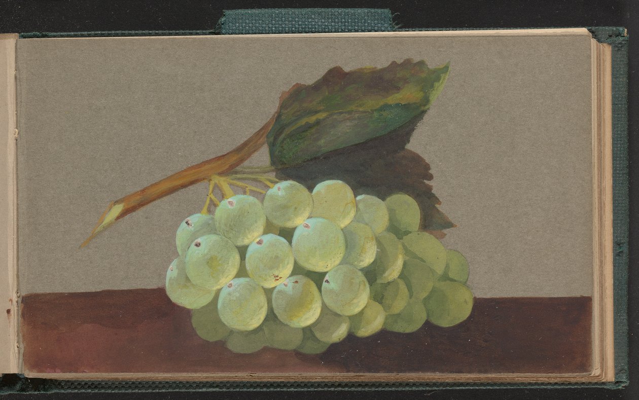Kiść winogron autorstwa Unknown artist