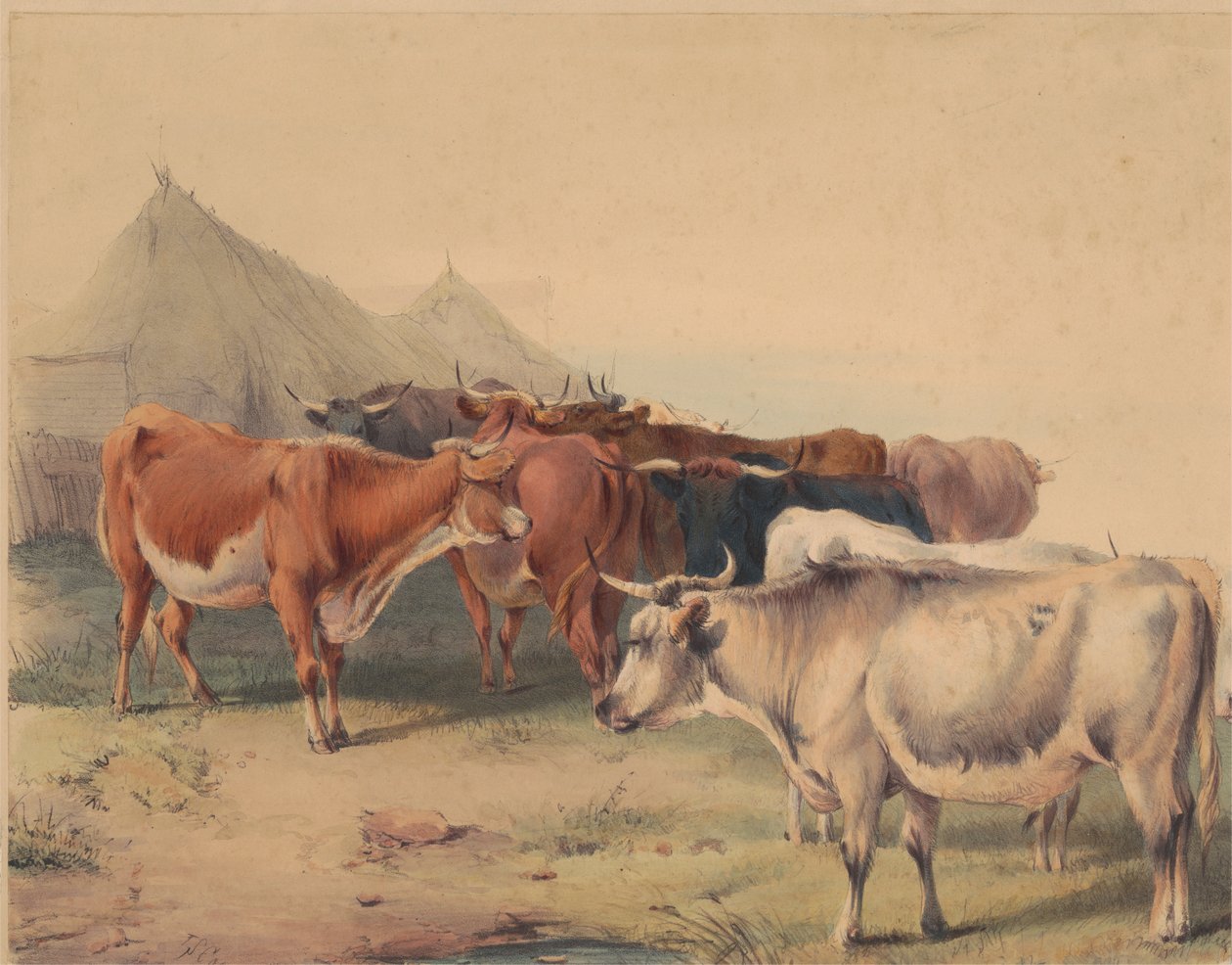 Stado bydła autorstwa Unknown artist
