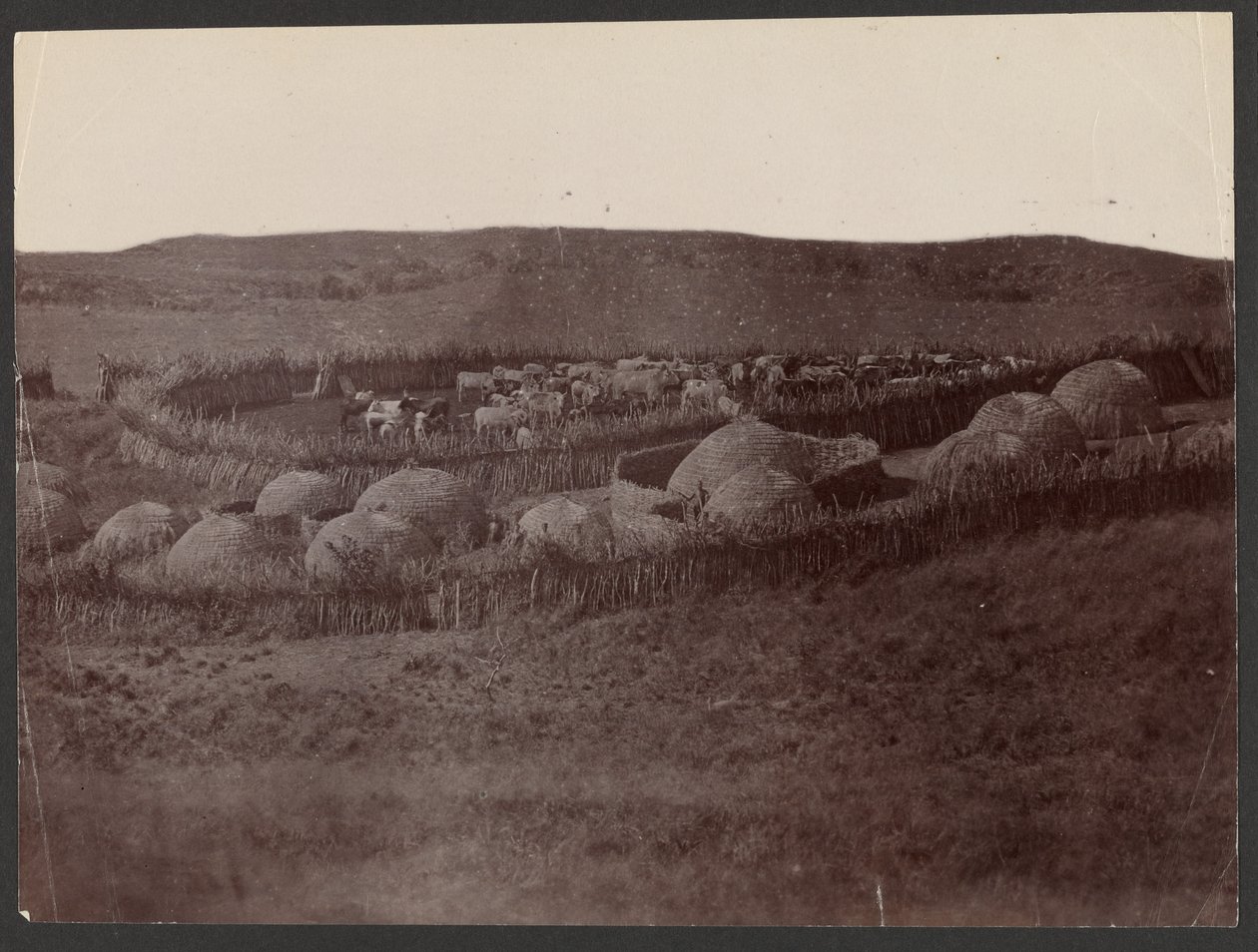 A Kraal, Zulu Land autorstwa Unknown artist