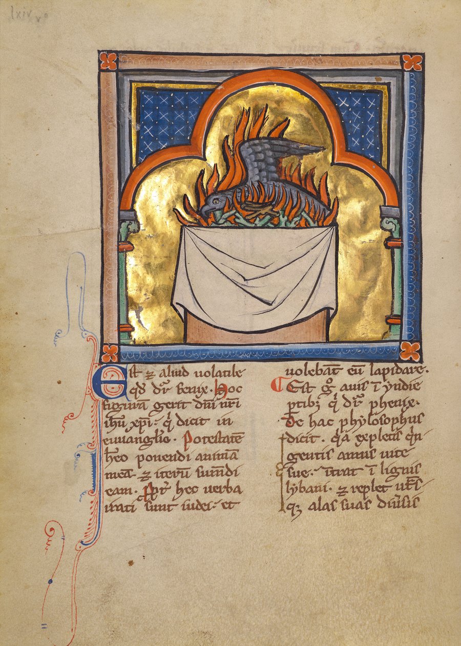 A Phoenix autorstwa Unknown artist