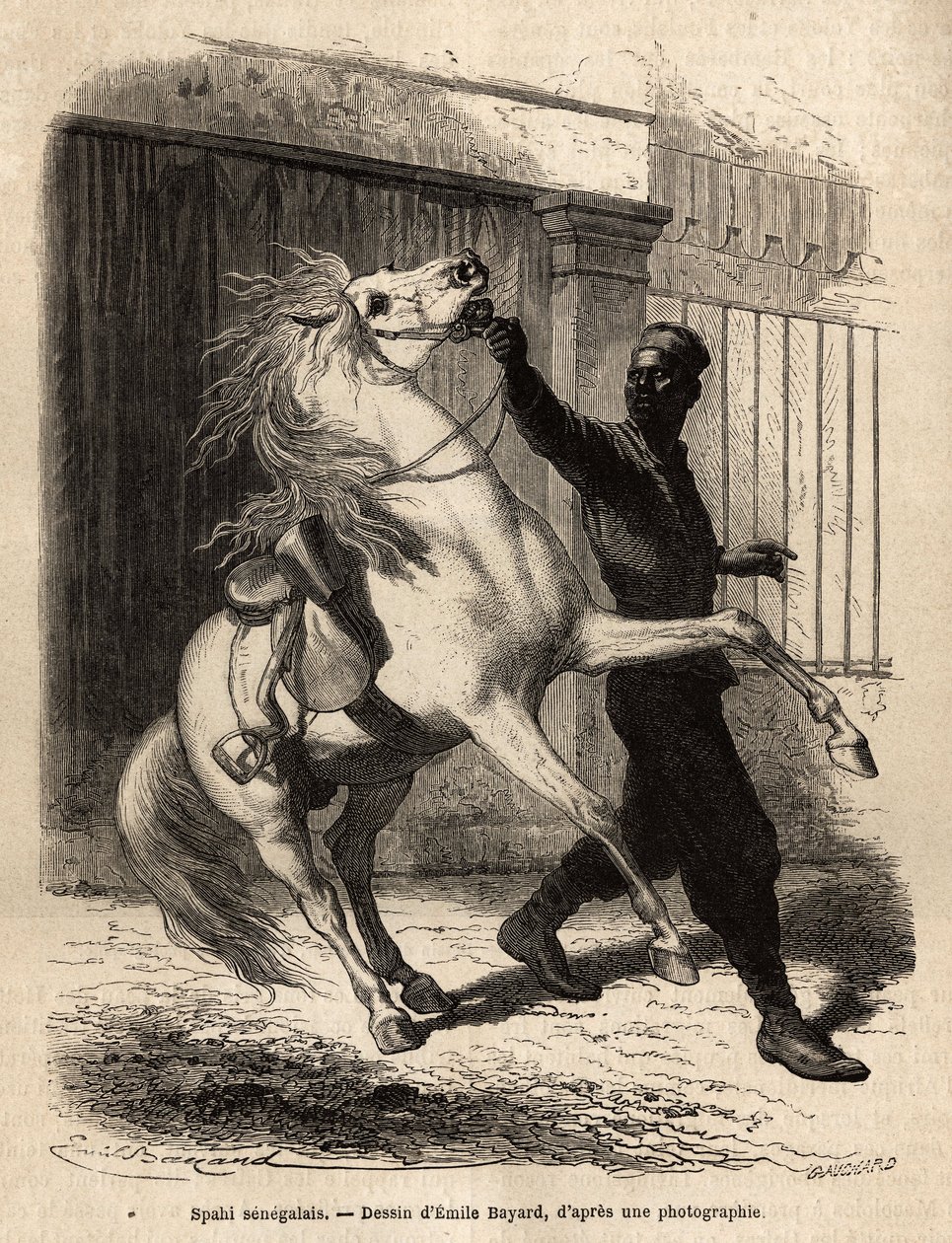 Senegalski spahi (cavalier) w Saint-Louis (Saint Louis). Grawer ilustrujący rejs po wybrzeżu Afryki, autorstwa wiceadmirała Fleuriot de Langle, w 1868 r., opublikowany w „Le tour du monde”” 1872, pod redakcją Edouarda Chartona, wyd. Hachette, Paryż. autorstwa Unknown artist