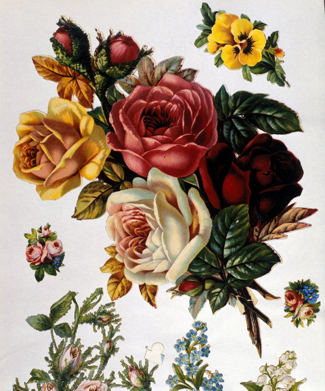 Bukiet róż. XIX-wieczna chromolitografia. autorstwa Unknown artist
