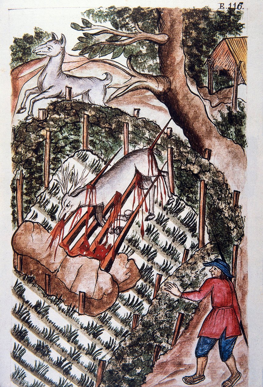 Jeleń wpada w pułapkę myśliwych, z książki „Trujillo del Peru” lub „Codex Martinez Companion”, autorstwa Baltazara Martineza Companion i Bujandy, biskupa Trujillo (1782-1785) autorstwa Unknown artist