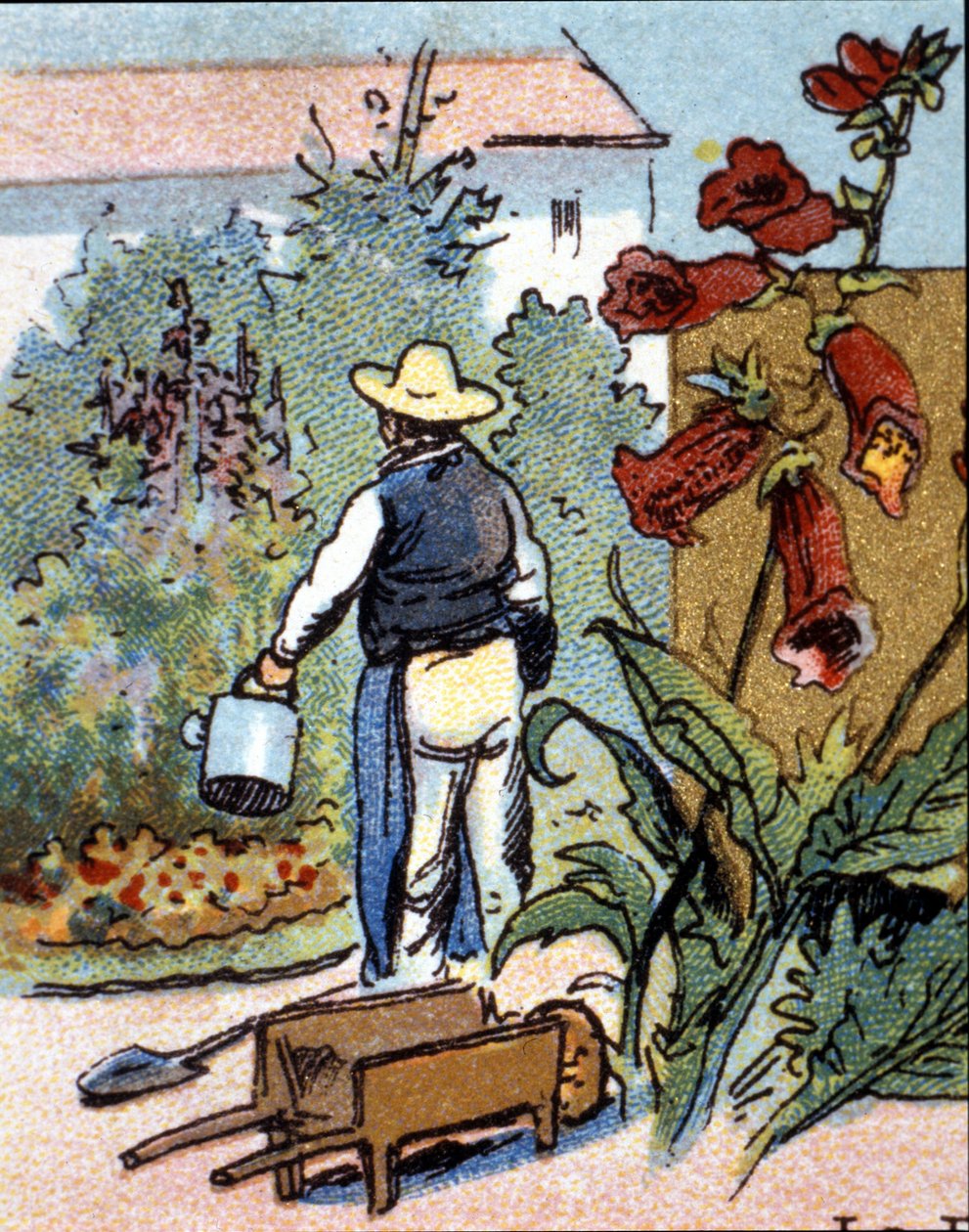 Ogrodnik, chromolitografia autorstwa Unknown artist