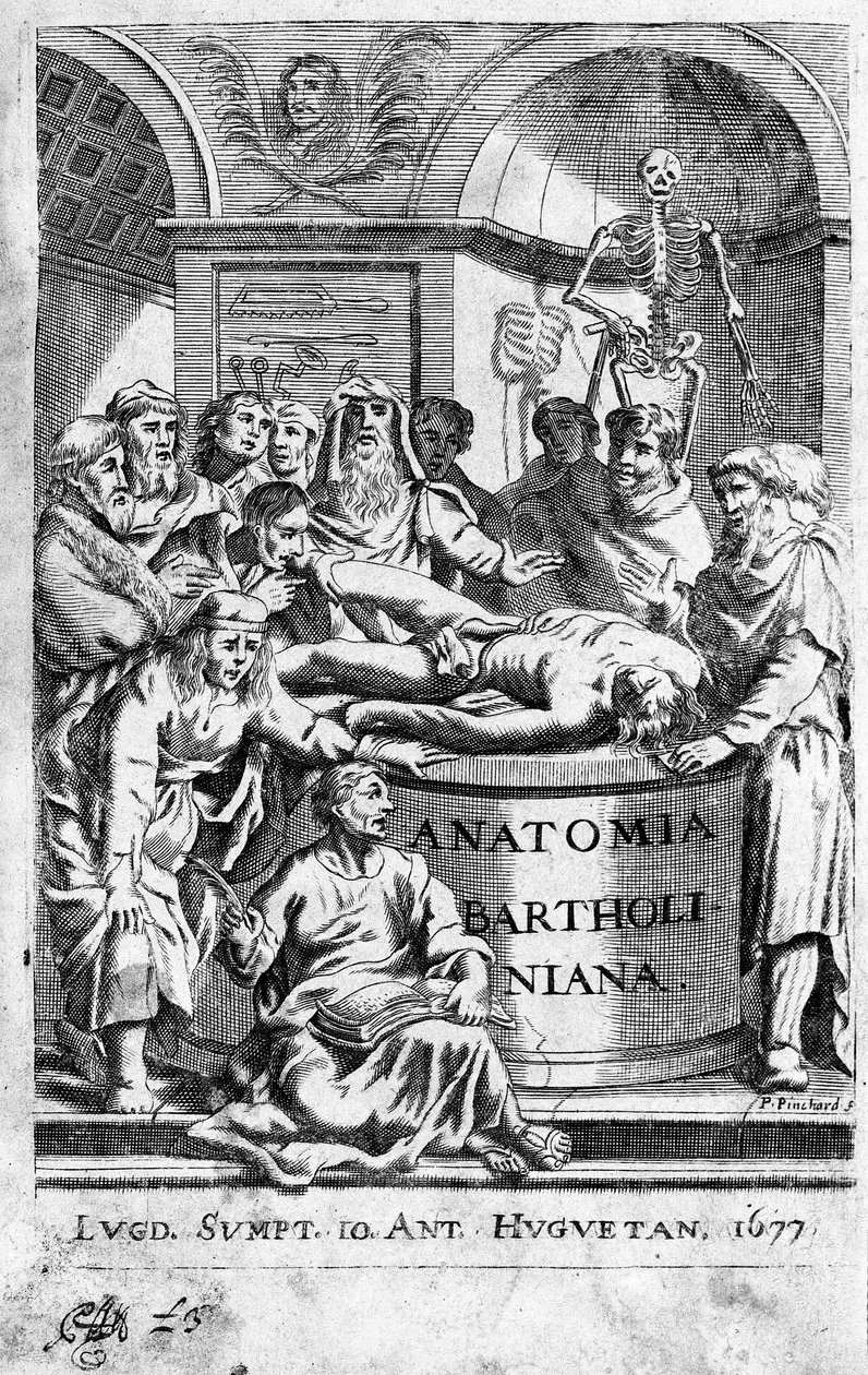Lekon anatomii Frontispice pochodzi z „Anatomia Reformata” Thomasa Bartholina (1616-80) (Bartholinus) 1677 autorstwa Unknown artist