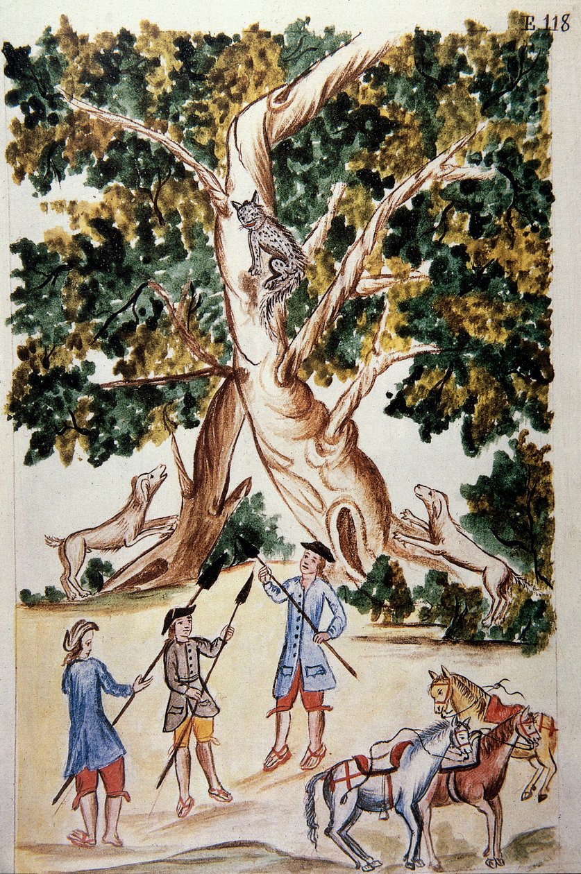 Dziki kot przysiada na drzewie, czekają na niego myśliwi, z książki „Trujillo del Peru” lub „Kodeks Martinez Companion”, autorstwa Baltazara Martineza Companion i Bujanda, biskupa Trujillo (1782-1785) autorstwa Unknown artist