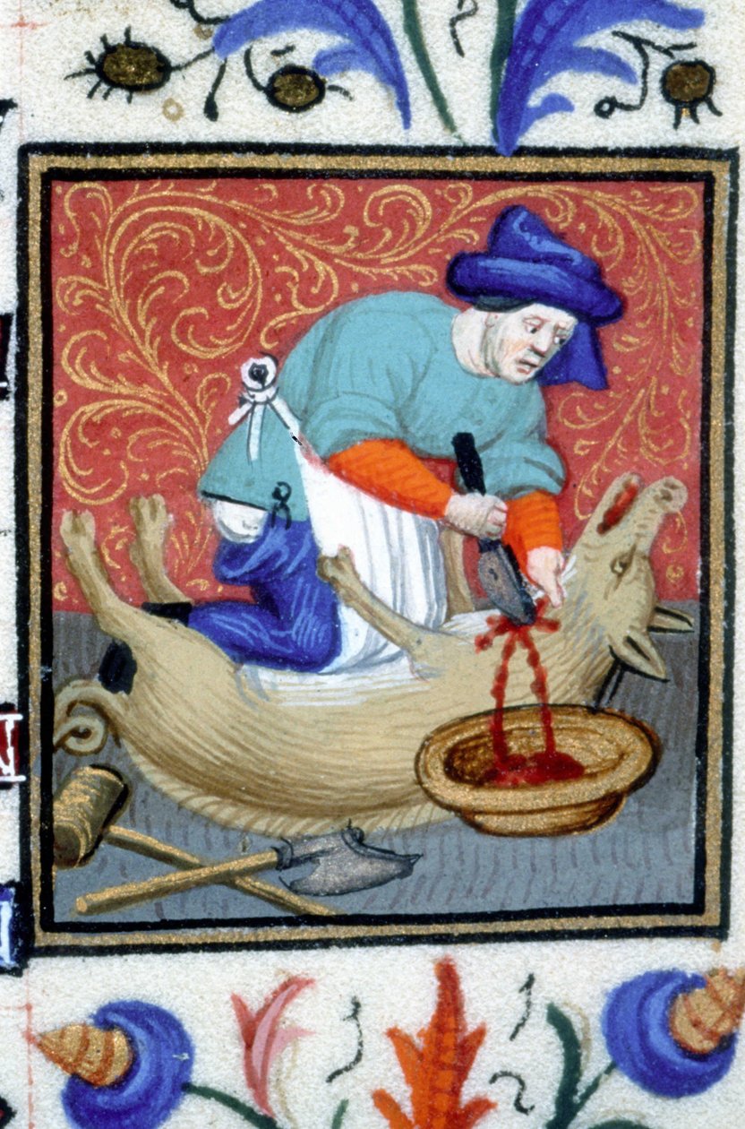 Alegoryczne przedstawienie grudnia. Rzeźnik zabija świnię. Miniatura rękopisu z XIV wieku. autorstwa Unknown artist