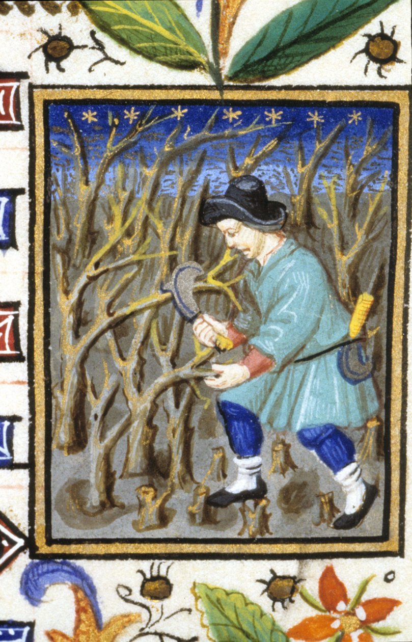 Alegoryczne przedstawienie marca. Mężczyzna wycina krzewy (rysunek). Miniatura rękopisu z XIV wieku. autorstwa Unknown artist