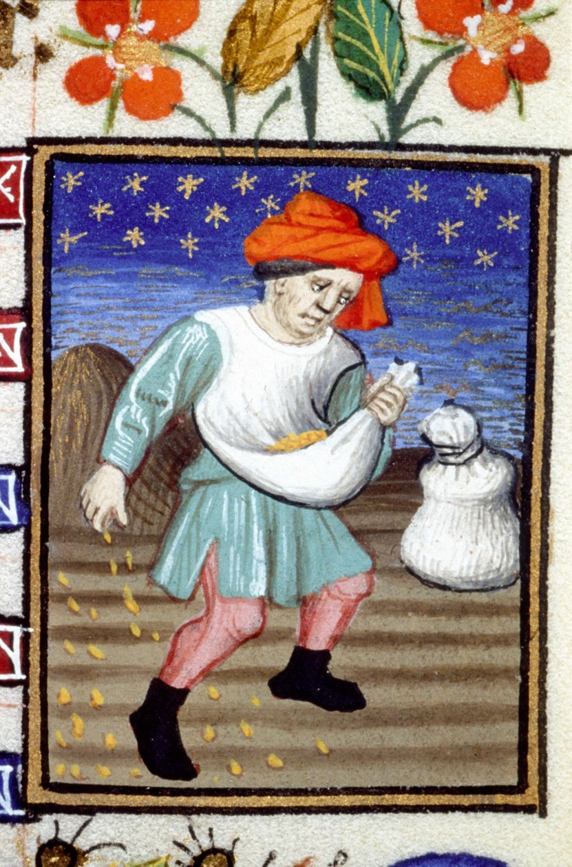 Alegoryczne przedstawienie października. Chłop siejący zboże. Miniatura rękopisu z XIV wieku. autorstwa Unknown artist
