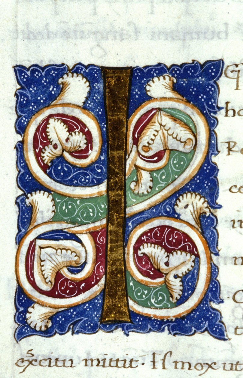 Alfabet: zminiaturowana litera I autorstwa Unknown artist