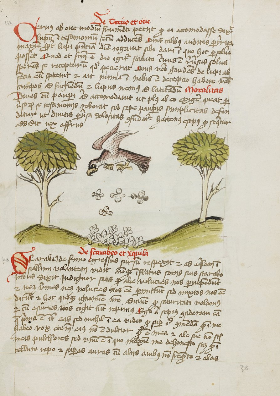Orzeł przelatujący nad rojem owadów autorstwa Unknown artist