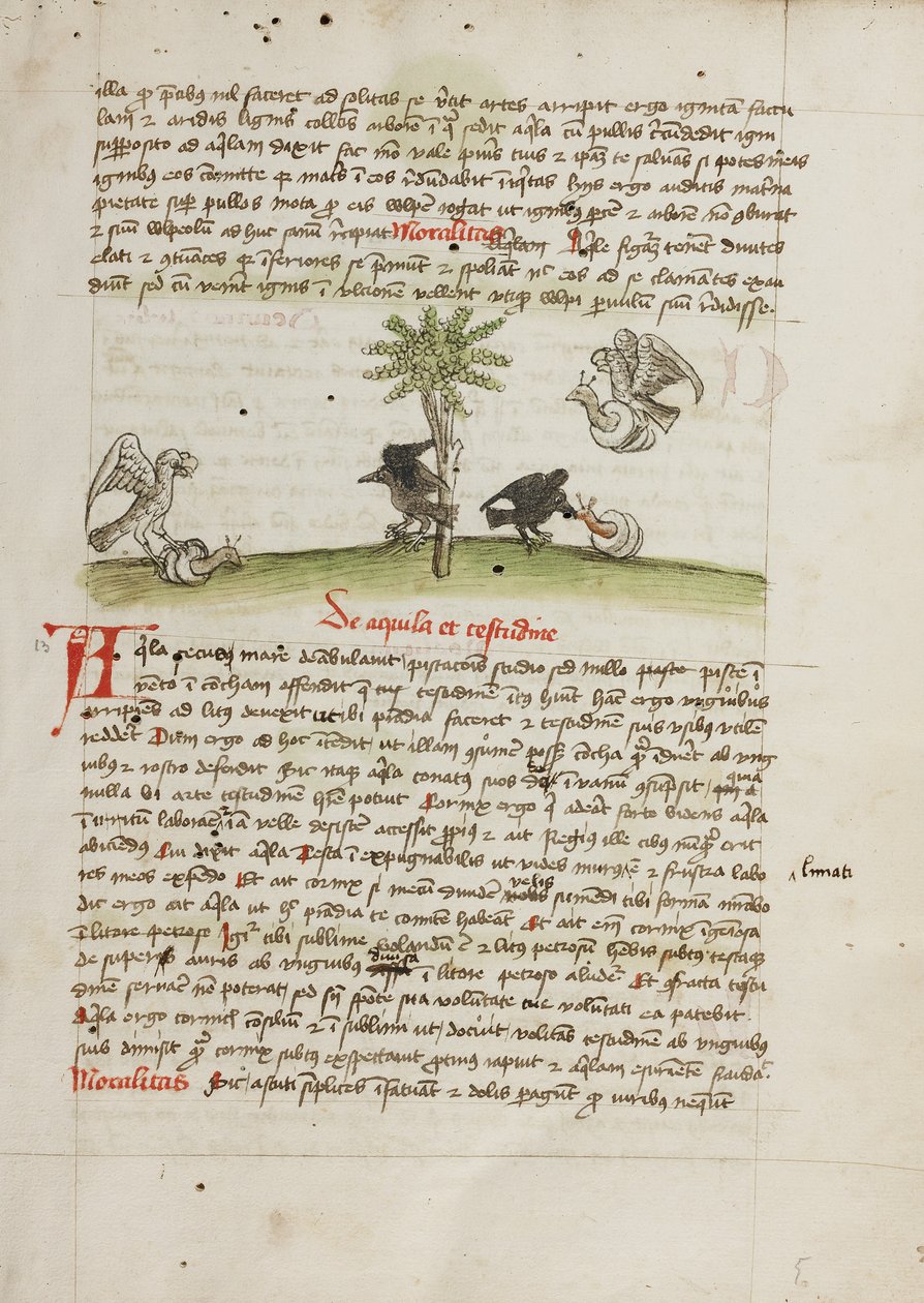 Orzeł chwytający ślimaka; Wrona dziobiąca ślimaka autorstwa Unknown artist