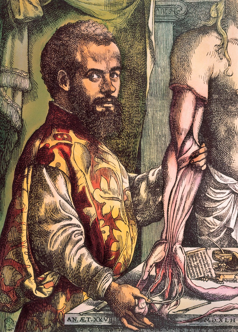 Andreas Vesalius (Grawerowanie autorstwa Unknown artist